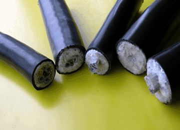 pg����-�����ɾͷǷ�,����Ʒ�Ƶ�����