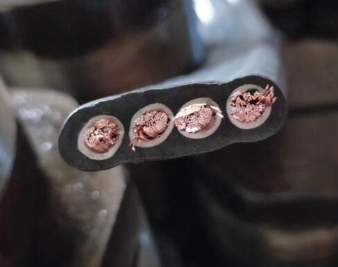 pg国际-不凡成就非凡,相信品牌的力量