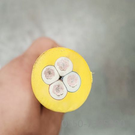 pg����-�����ɾͷǷ�,����Ʒ�Ƶ�����